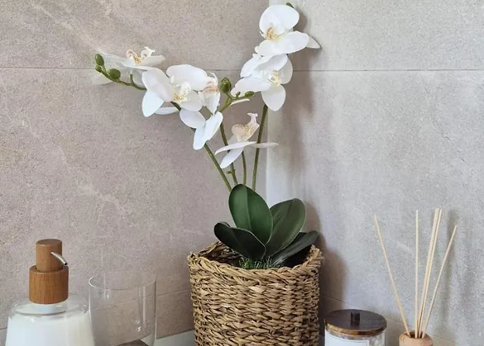 Piso Daire Torremolinos